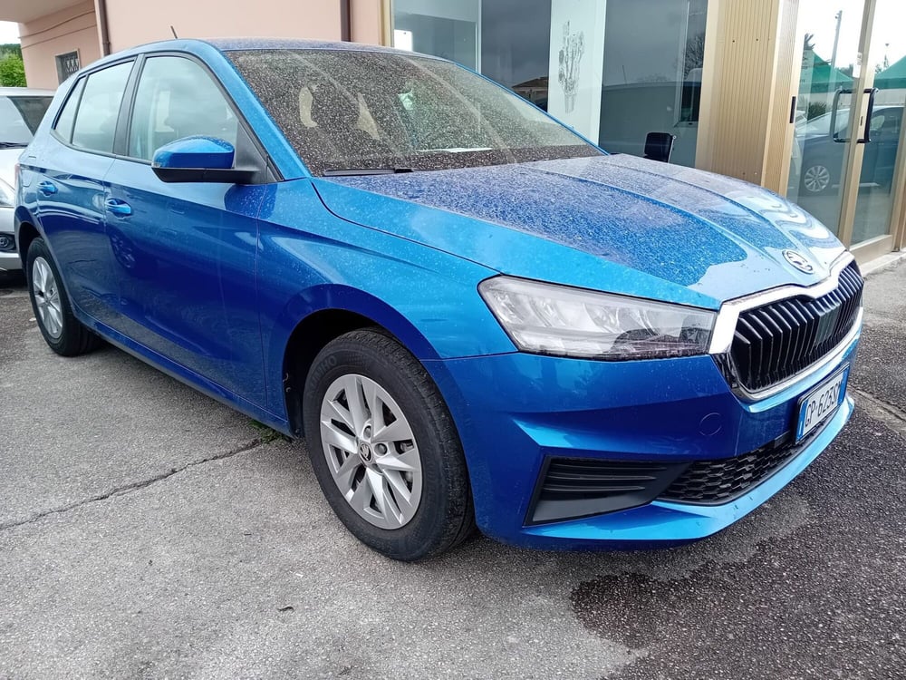 Skoda Fabia usata a Salerno (2)