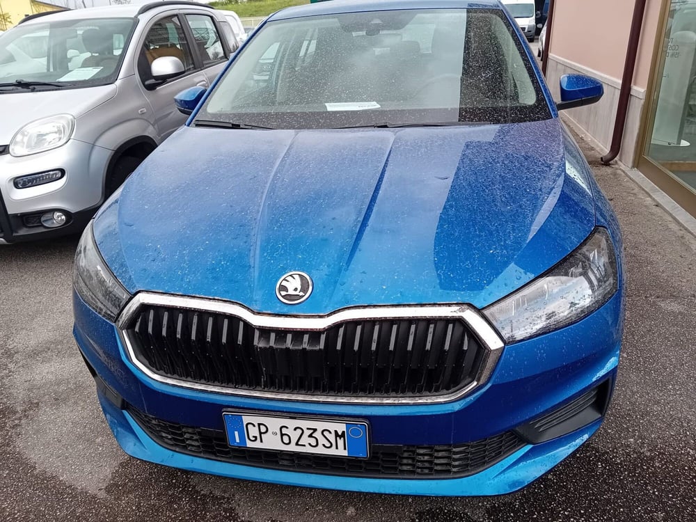 Skoda Fabia usata a Salerno (9)