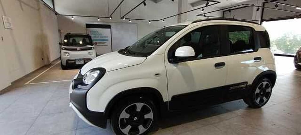 Fiat Pandina usata a Viterbo