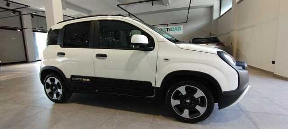 Fiat Pandina usata a Viterbo (2)