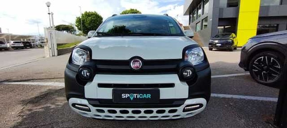 Fiat Pandina usata a Viterbo (3)