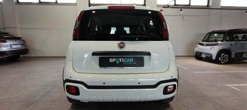 Fiat Pandina usata a Viterbo (4)