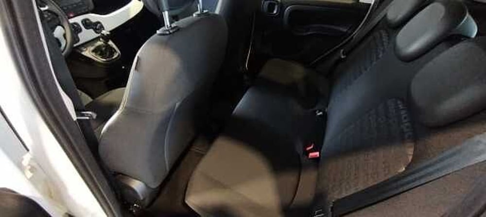 Fiat Pandina usata a Viterbo (7)