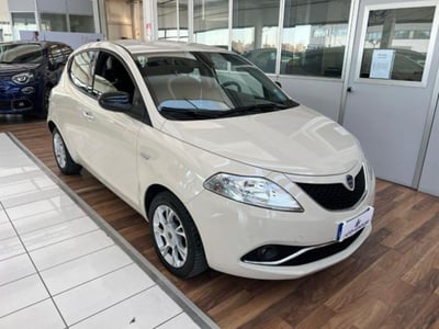Lancia Ypsilon 1.2 69 CV 5 porte GPL Ecochic Gold del 2015 usata a Vignola