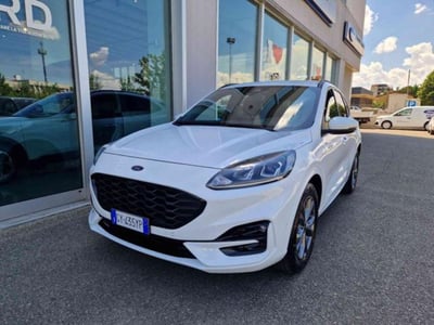 Ford Kuga 1.5 EcoBoost 150 CV 2WD ST-Line nuova a Imola