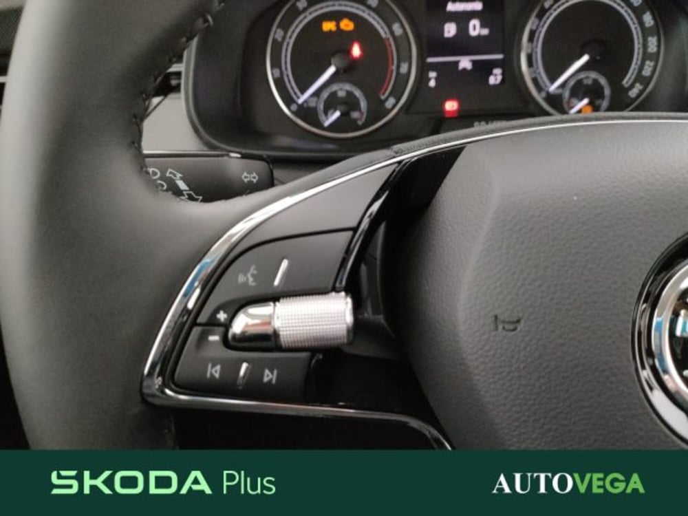 Skoda Kamiq usata a Vicenza (8)