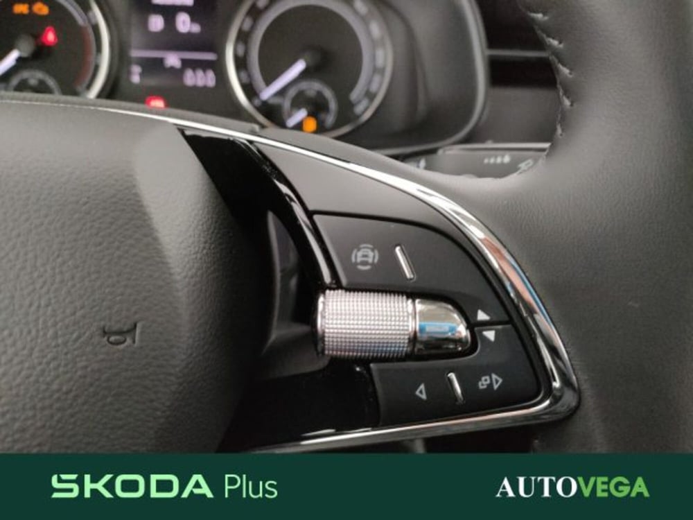 Skoda Kamiq usata a Vicenza (9)