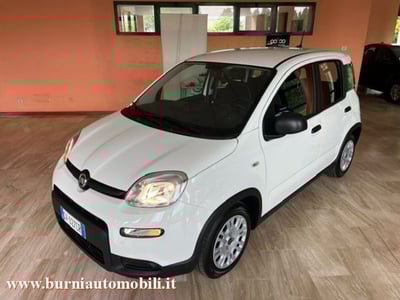 Fiat Panda 1.0 firefly hybrid s&amp;s 70cv 5p.ti del 2024 usata a Cassano d&#039;Adda