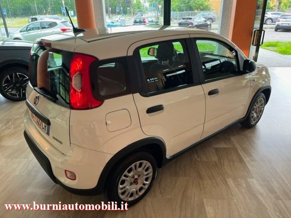 Fiat Panda usata a Milano (3)