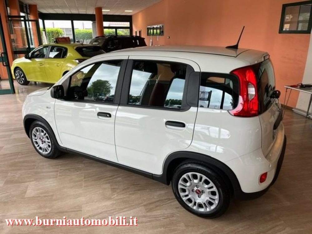 Fiat Panda usata a Milano (5)