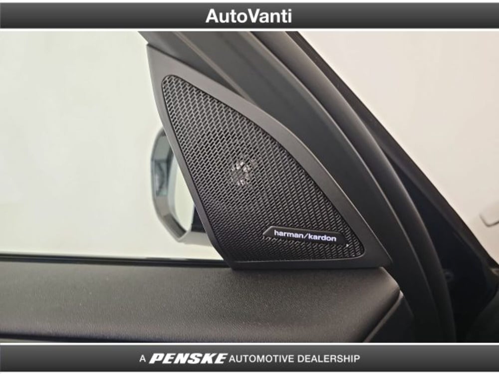 BMW X3 usata a Bologna (14)