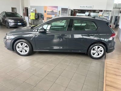 Volkswagen Golf 1.0 TSI EVO Life del 2021 usata a Foggia