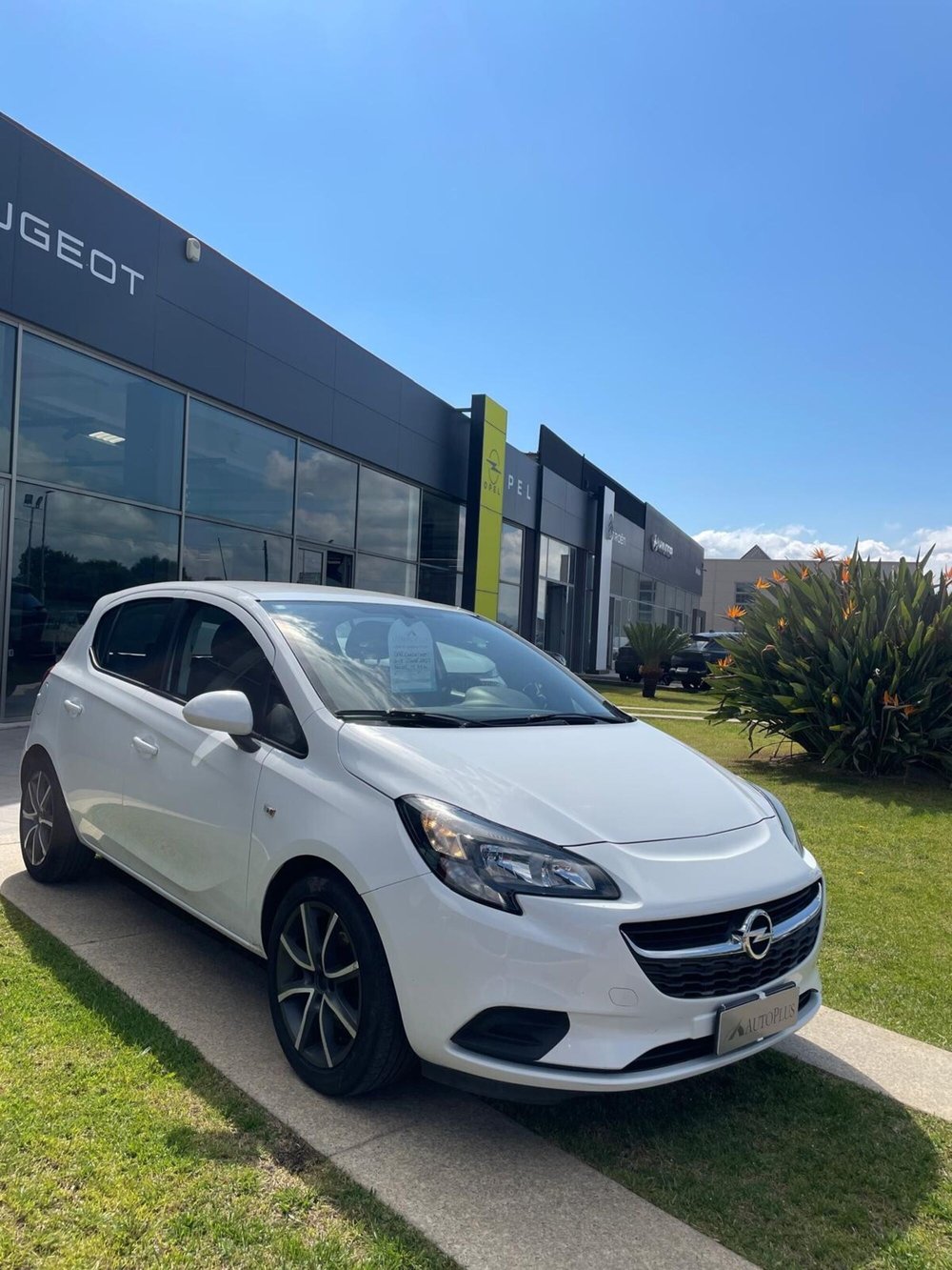 Opel Corsa usata a Sassari (13)