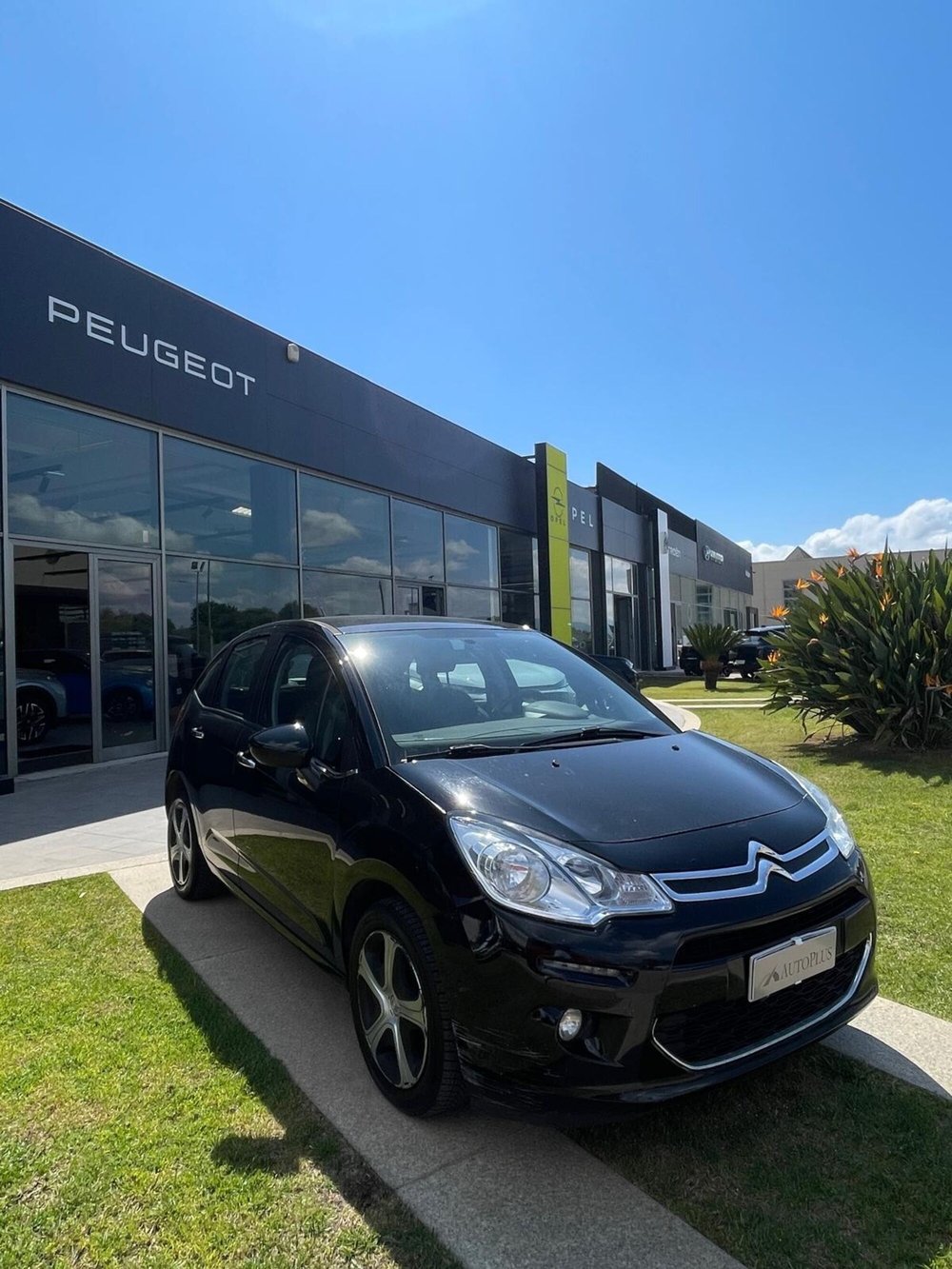 Citroen C3 usata a Sassari