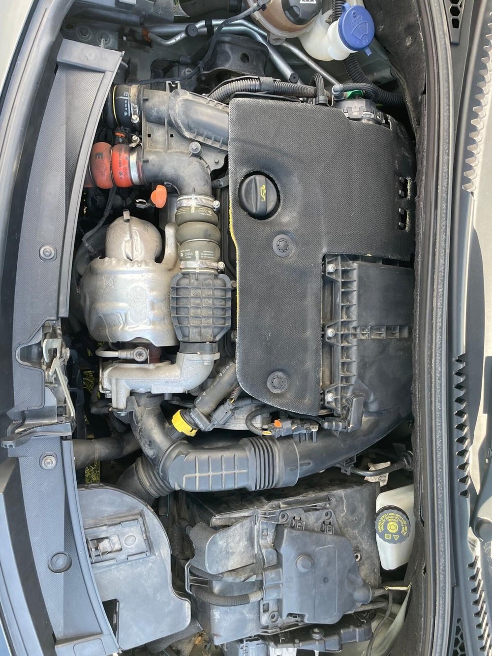 Citroen C3 usata a Sassari (4)