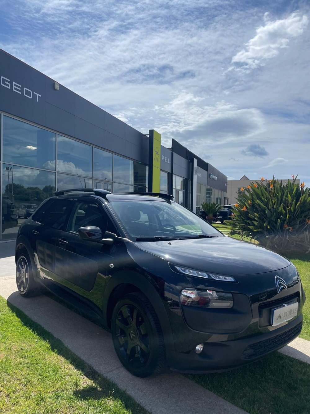 Citroen C4 Cactus usata a Sassari (10)