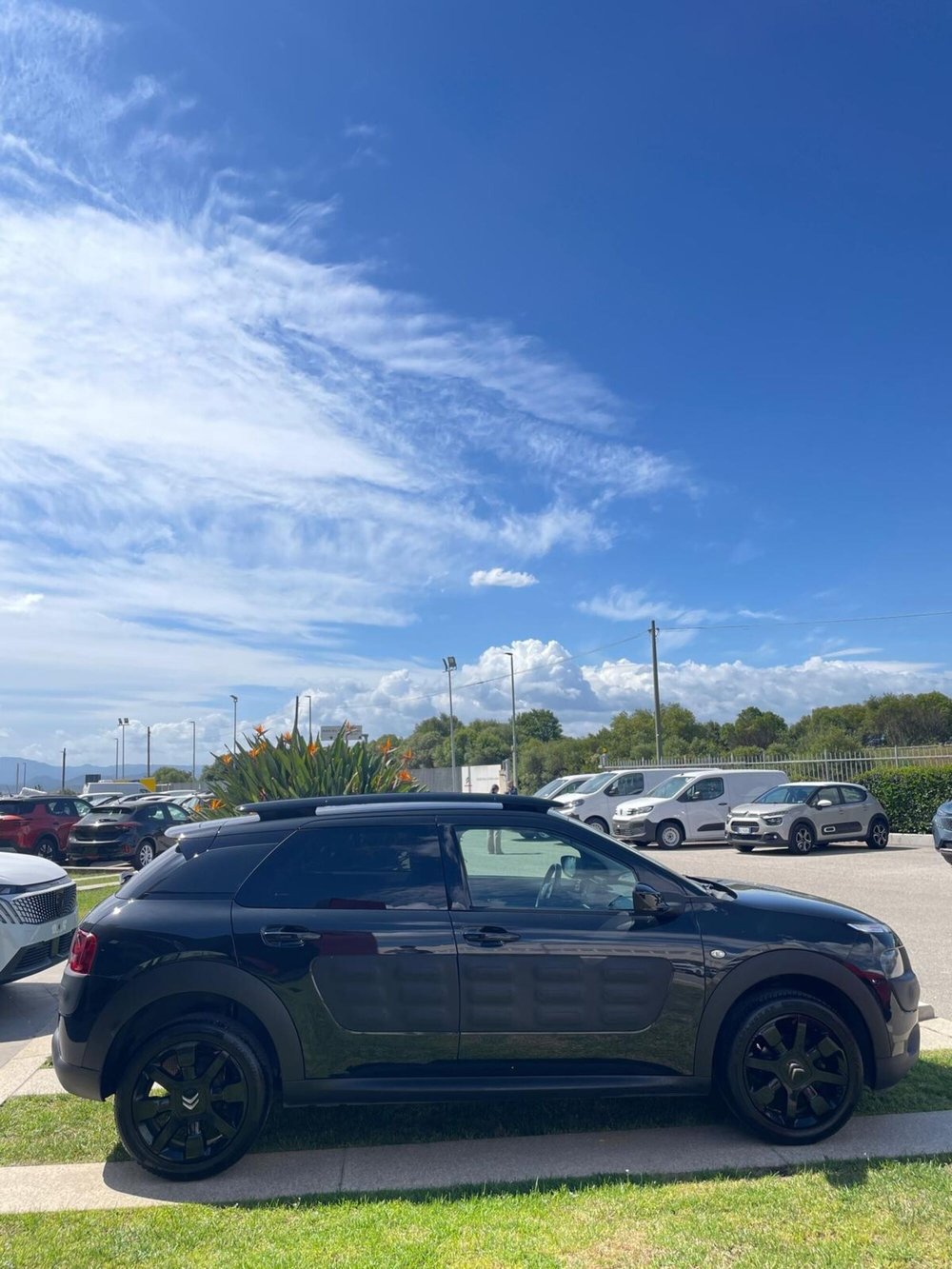 Citroen C4 Cactus usata a Sassari (11)