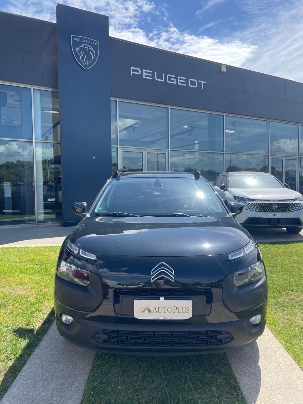 Citroen C4 Cactus usata a Sassari (9)
