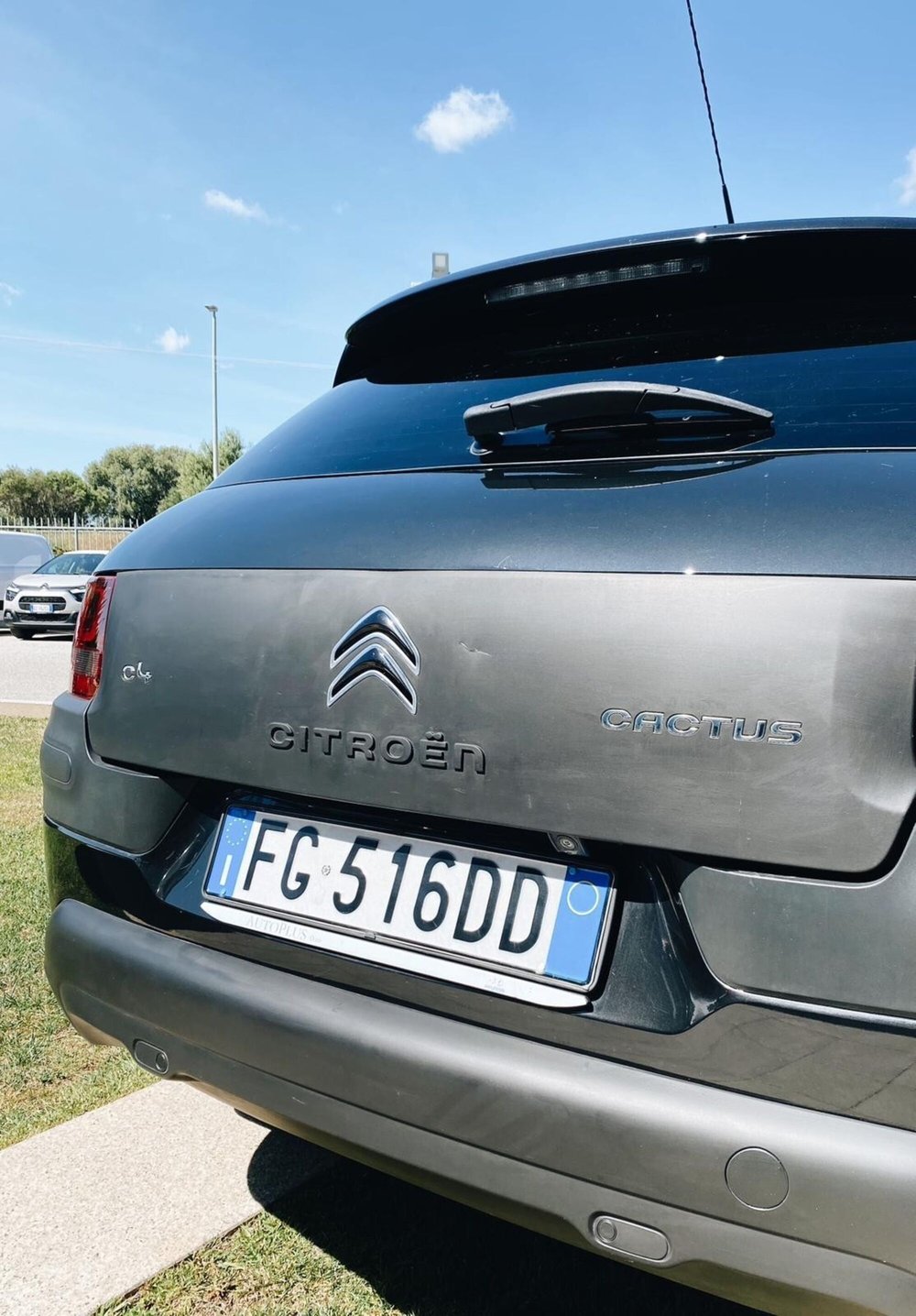 Citroen C4 Cactus usata a Sassari (6)