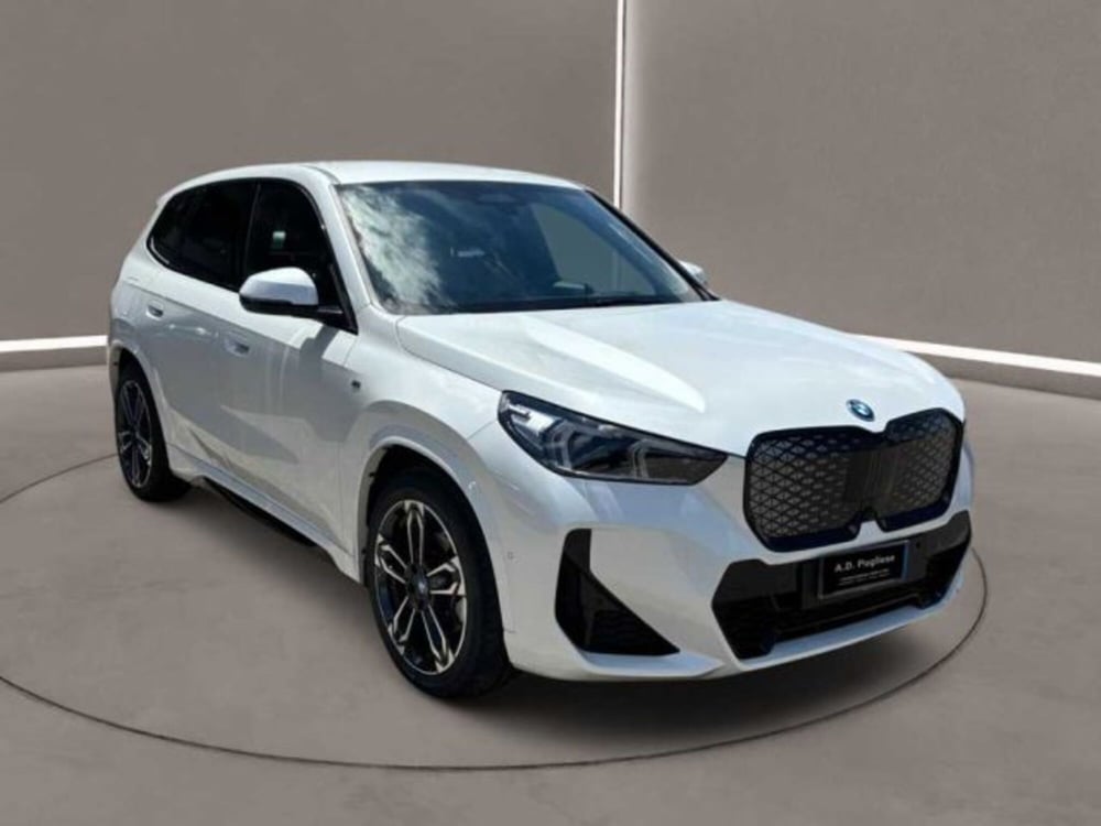 BMW X1 usata a Caltanissetta (8)