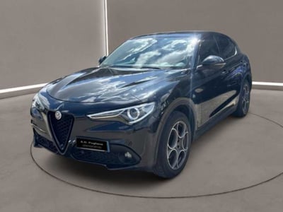 Alfa Romeo Stelvio Stelvio 2.2 Turbodiesel 190 CV AT8 Q4 B-Tech del 2019 usata a Caltanissetta