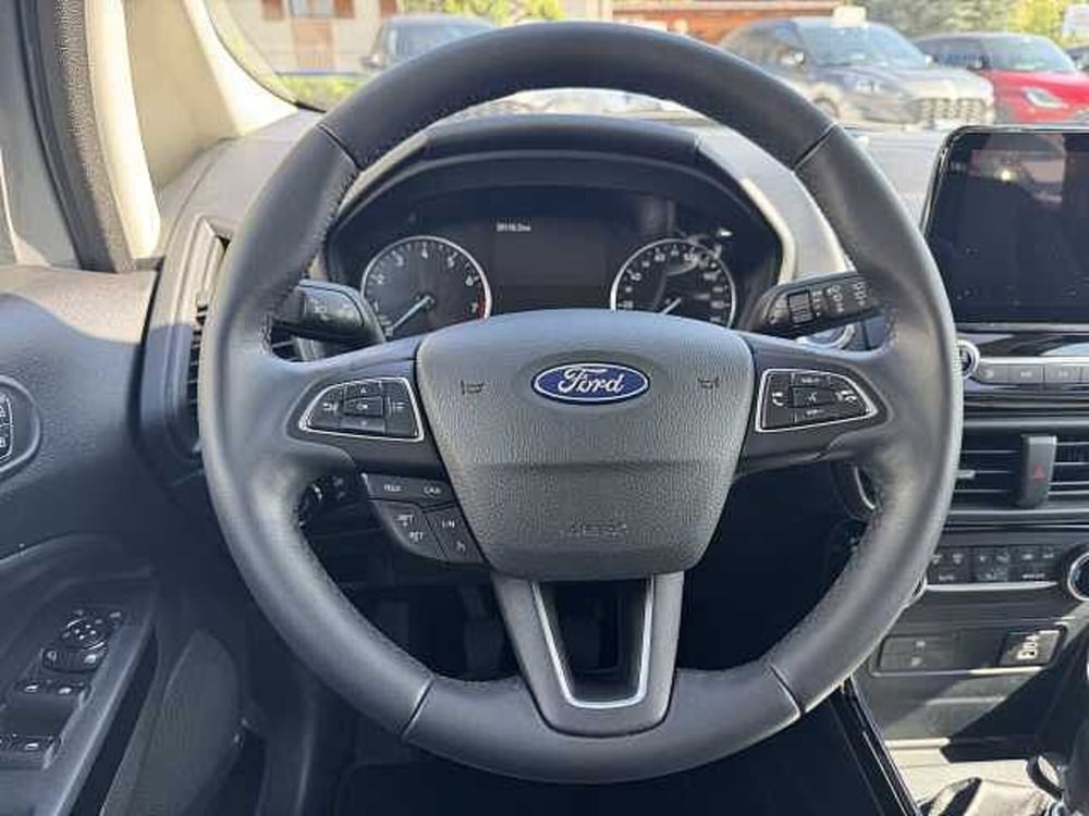 Ford EcoSport usata a Torino (14)