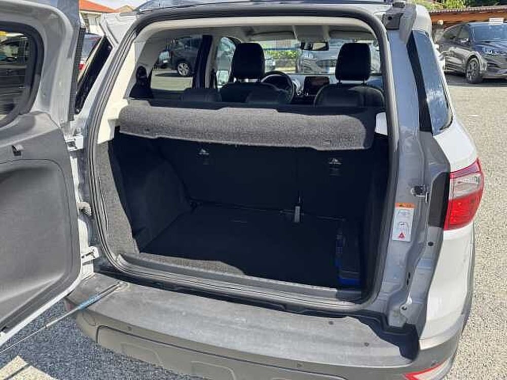 Ford EcoSport usata a Torino (7)