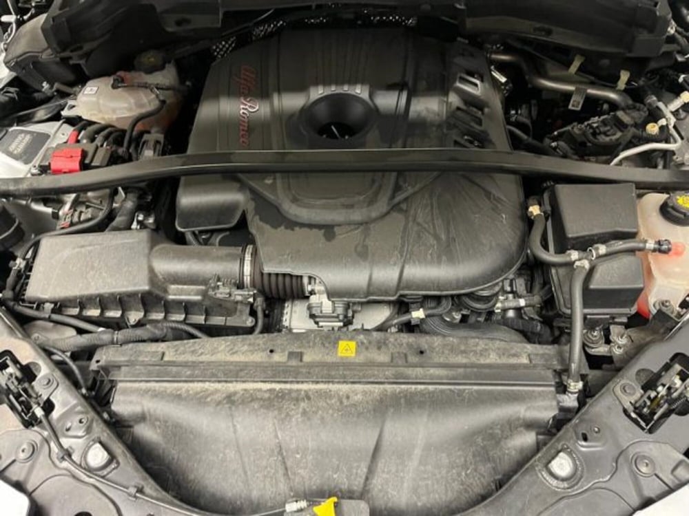Alfa Romeo Stelvio usata a Biella (2)