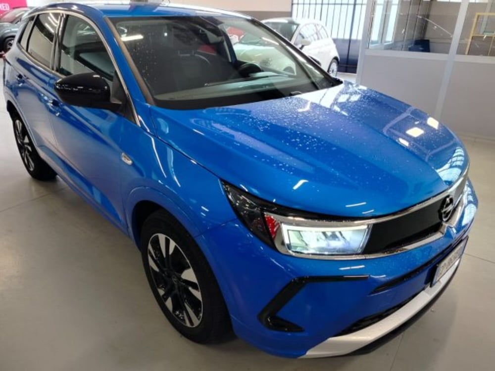 Opel Grandland usata a Forlì-Cesena (14)