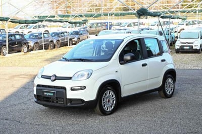 Fiat Panda 1.0 firefly hybrid s&amp;s 70cv 5p.ti nuova a Pianezza