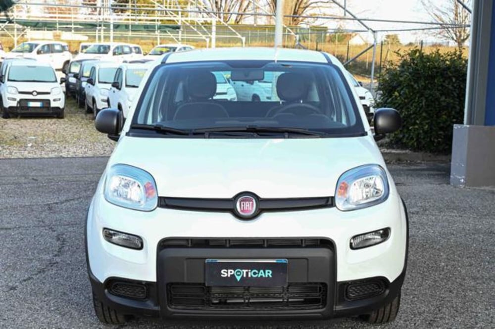 Fiat Panda nuova a Torino (2)