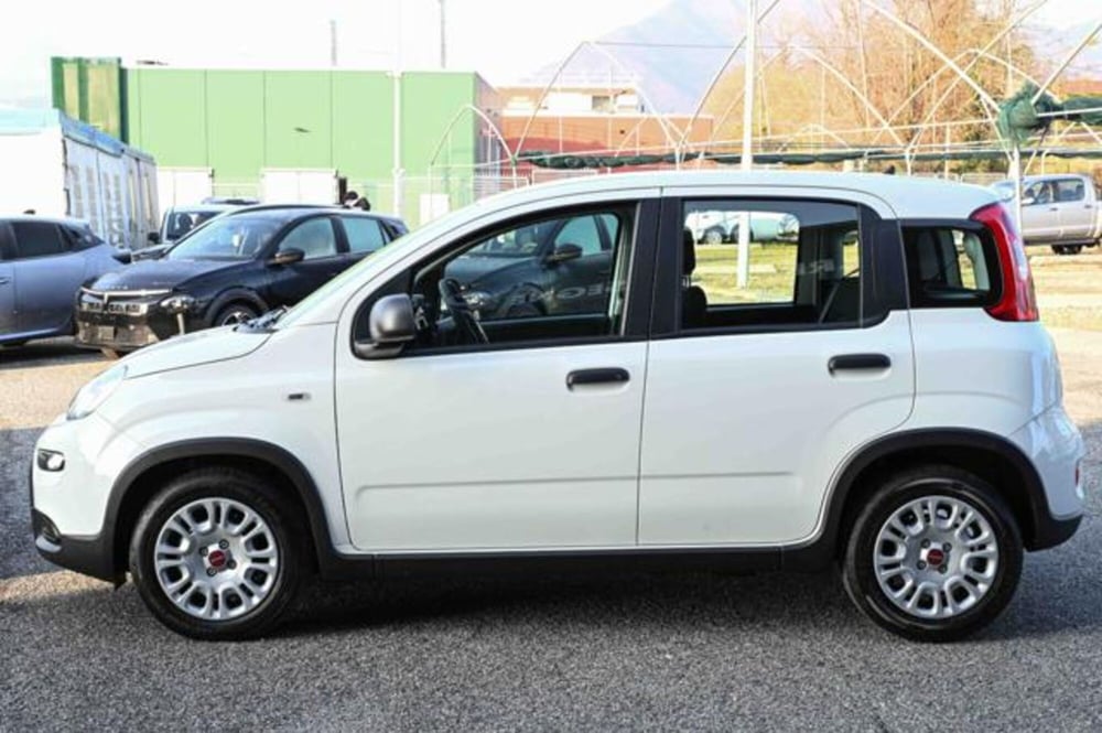 Fiat Panda nuova a Torino (8)