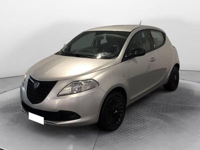 Lancia Ypsilon 1.2 69 CV 5 porte Elefantino del 2014 usata a Torino