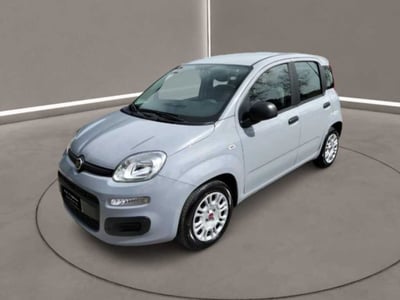 Fiat Panda Cross Cross 1.0 FireFly S&amp;S Hybrid del 2022 usata a Caltanissetta