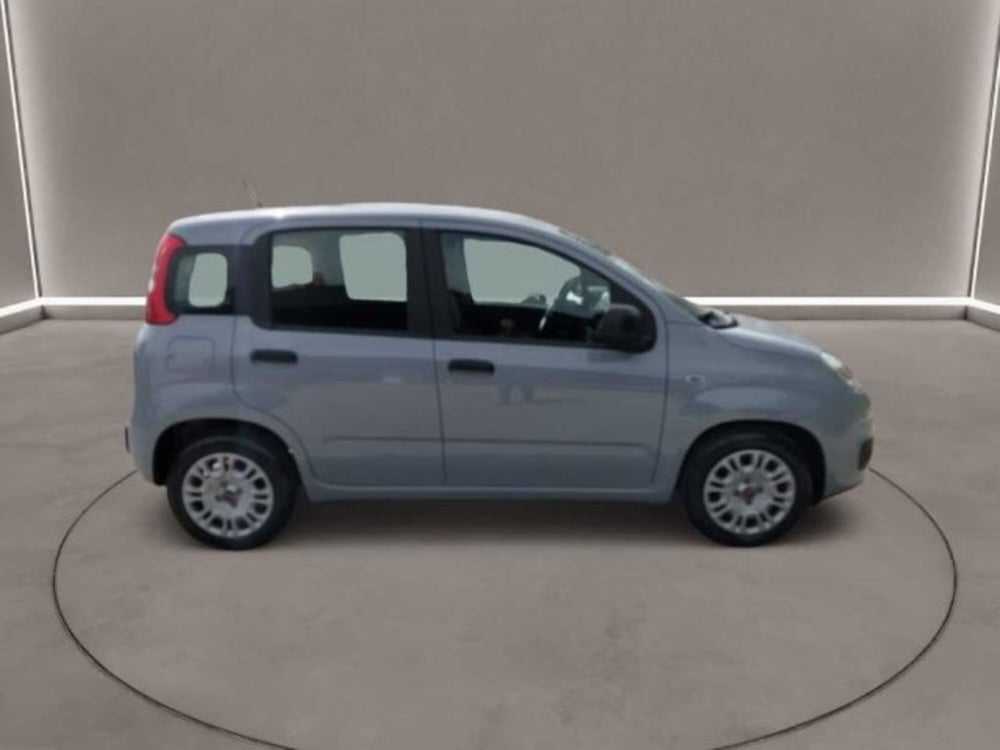 Fiat Panda Cross usata a Caltanissetta (3)