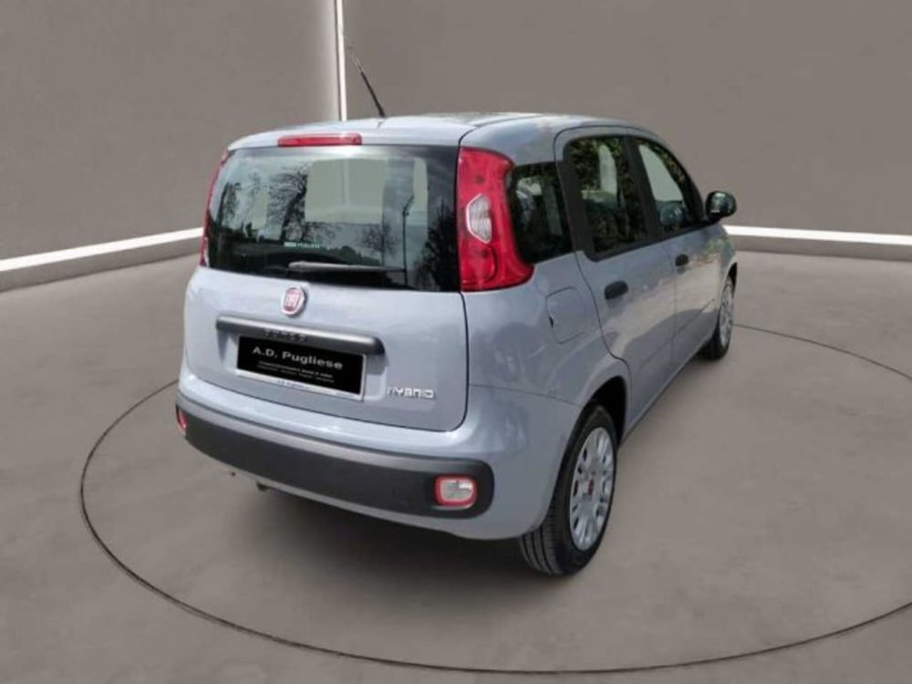 Fiat Panda Cross usata a Caltanissetta (7)