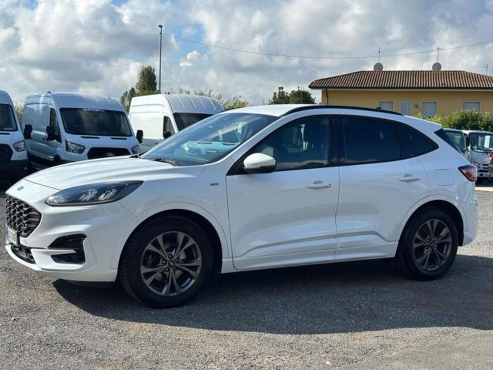 Ford Kuga usata a Lucca (2)