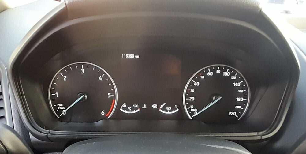 Ford EcoSport usata a Cosenza (12)