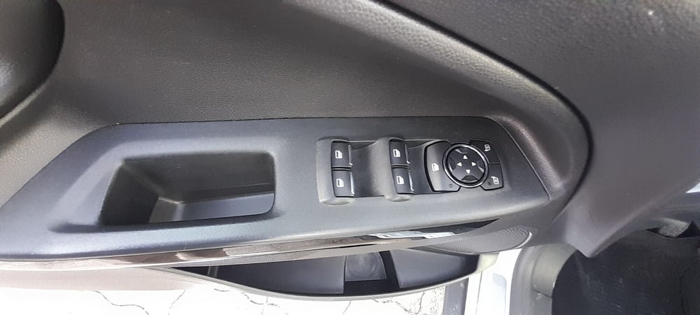 Ford EcoSport usata a Cosenza (14)