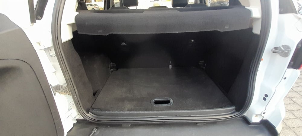 Ford EcoSport usata a Cosenza (15)