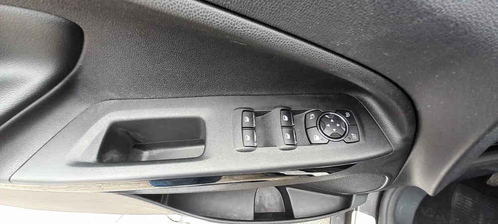 Ford EcoSport usata a Cosenza (13)