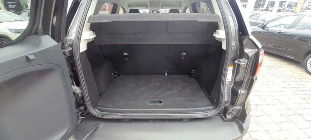 Ford EcoSport usata a Cosenza (14)