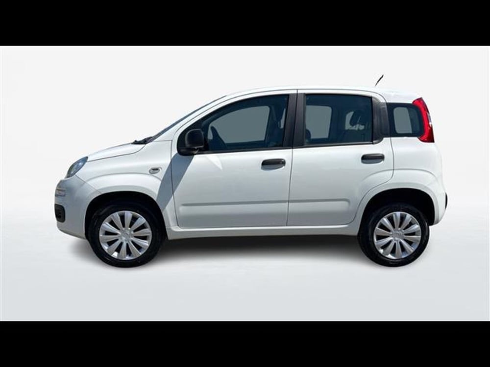 Fiat Panda usata a Parma (3)