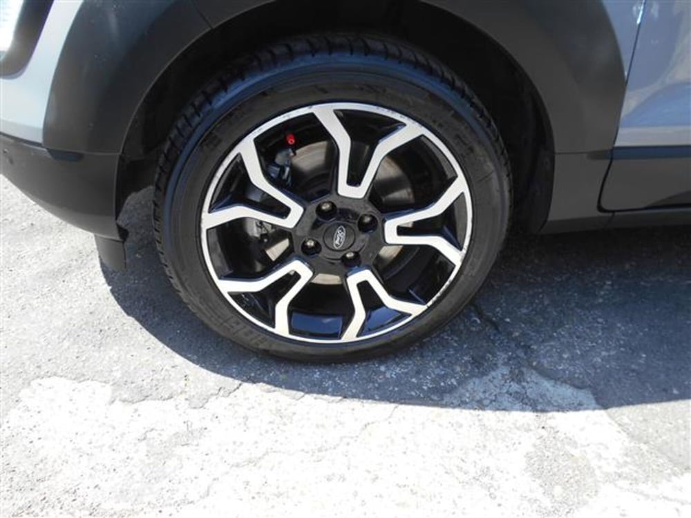 Ford EcoSport usata a Firenze (6)