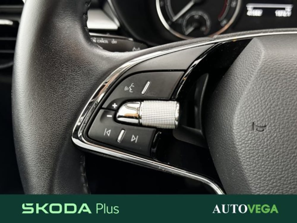 Skoda Fabia usata a Vicenza (18)