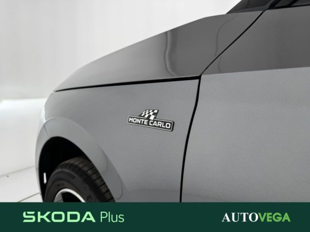 Skoda Kamiq usata a Vicenza (6)