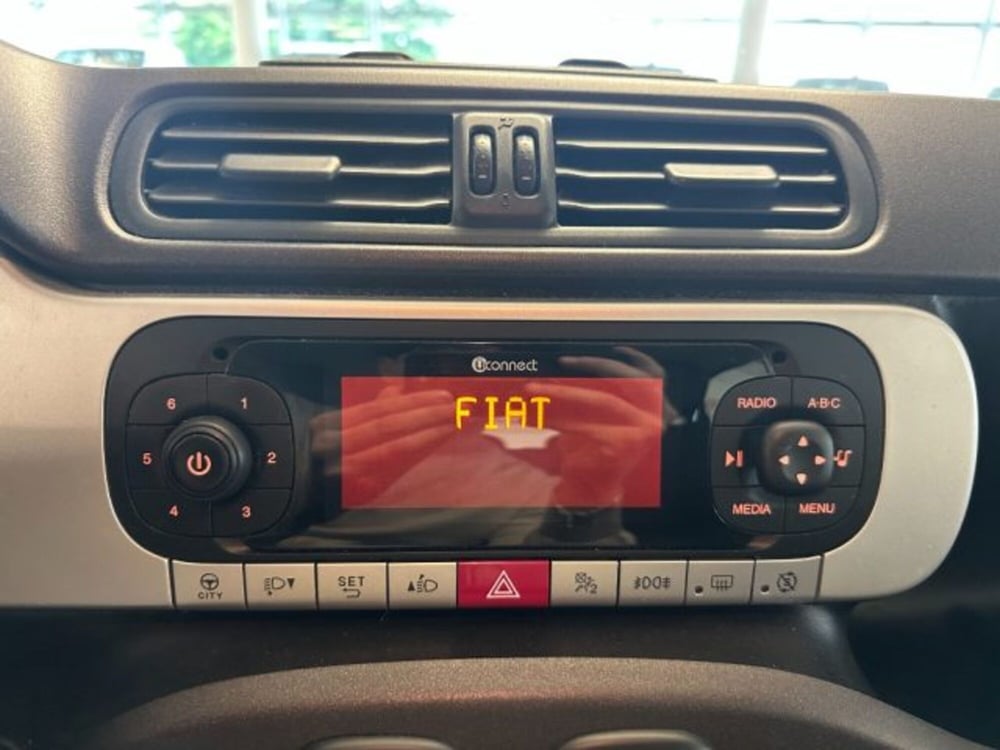 Fiat Panda Cross usata a Cuneo (13)