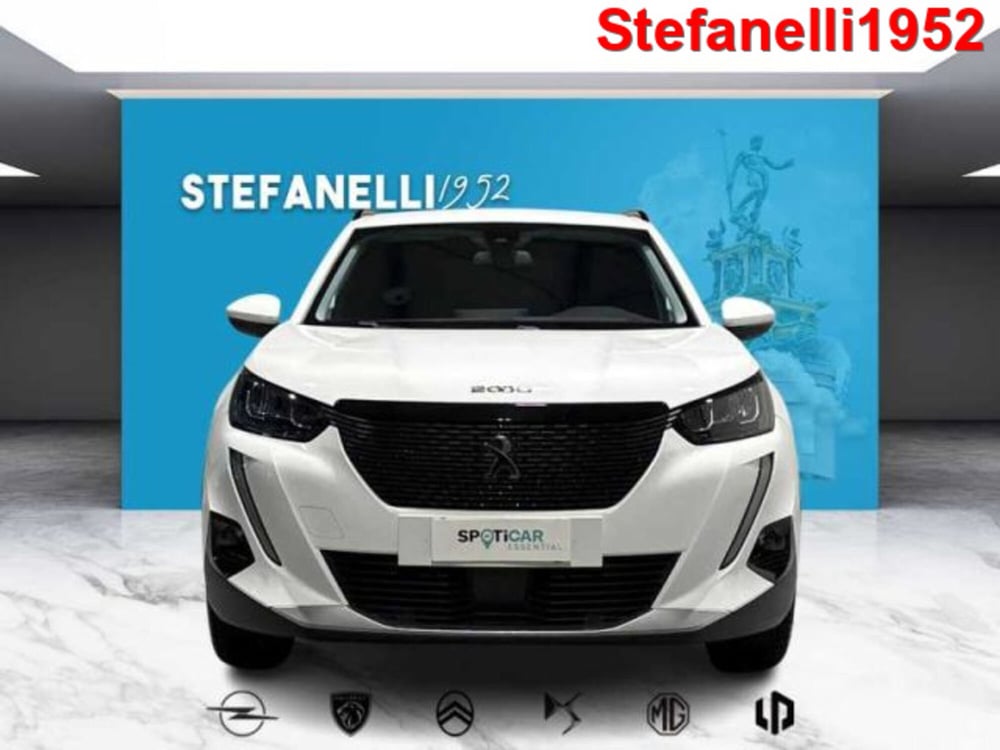 Peugeot 2008 usata a Bologna (2)