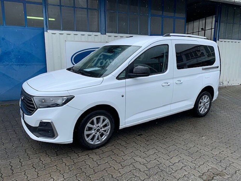 Ford Tourneo Connect usata a Torino (2)