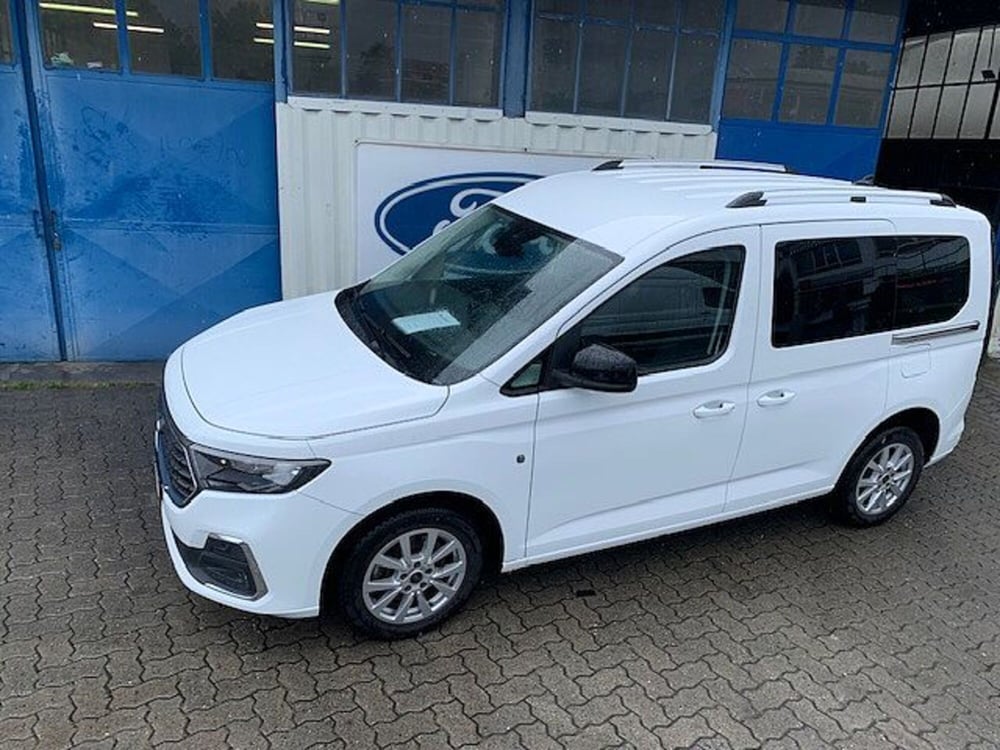 Ford Tourneo Connect usata a Torino (4)